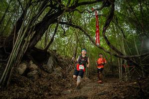 BIB: 
                            <button type="button" onclick="openModal(22178284)" class="btn btn-primary btn-sm float-right btn-popup" data-toggle="modal" data-target=".modal-high-quality">
                        <i class="fas fa-shopping-cart"></i> Add to Cart
                    </button>
                                            <button type="button" onclick="isThisMe(22178284, true)" class="btn btn-success btn-sm float-right btn-popup btn-isme hidden" data-toggle="tooltip" data-placement="bottom" title="นี่คือรูปของคุณใช่ไหม คลิกที่นี่เพื่อเอาเข้าอัลบั้ม">
                        <i class="fas fa-plus"></i> Add to album
                    </button>
                    <button type="button" onclick="isThisMe(22178284, false)" class="btn btn-warning btn-sm float-right btn-popup btn-isnotme hidden">
                        <i class="fas fa-ban"></i> Remove from album
                    </button>